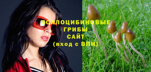 герыч Новокубанск