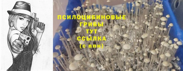 MDMA Абаза